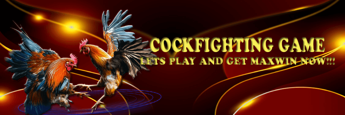 Sabung Ayam - RINDAPLAY - Platform Game Terpercaya